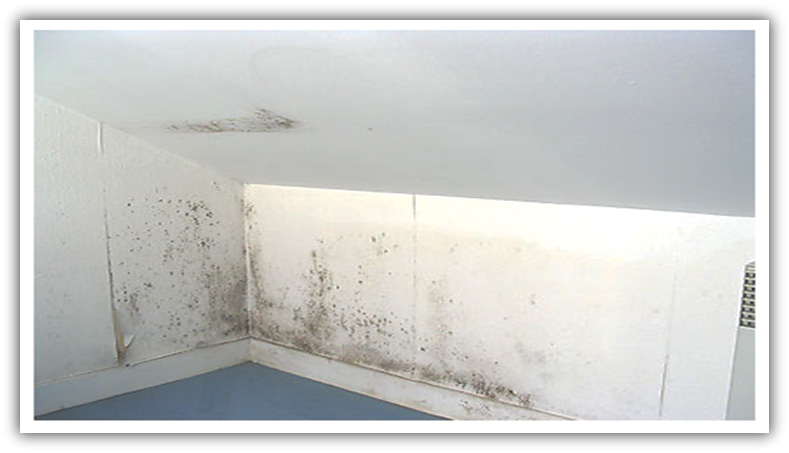 La condensation vient essentiellement d'un d&eacute;faut de ventilation