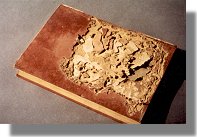 Livre rong&eacute; par les termites
